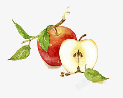 水彩红苹果红色水彩手绘苹果高清图片