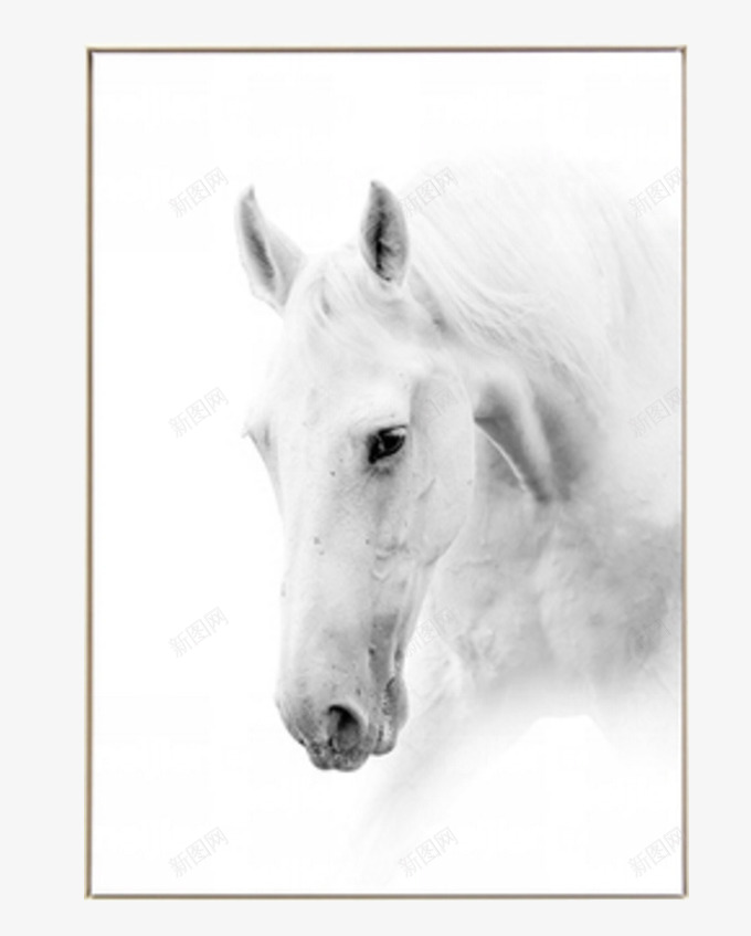 白马的美丽装饰画png免抠素材_新图网 https://ixintu.com 产品实物 北欧 干净 文艺 现代 白色 白马 装饰画 马匹