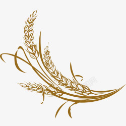 褐色的麦穗手绘麦穗高清图片