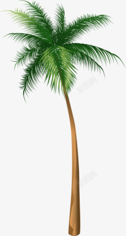 矢量热带椰子树海南椰子树高清图片