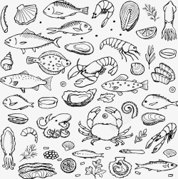 手绘海贝创意的海鲜简笔画高清图片