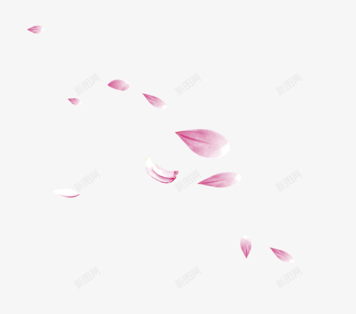 粉色花瓣雨png免抠素材_新图网 https://ixintu.com 唯美 春天 漂浮素材PNG 粉色 花瓣 花瓣雨 花香