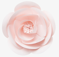 花卉手绘图粉白色仿真美丽花朵高清图片
