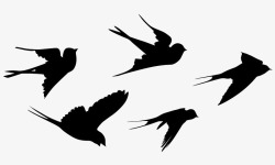 群燕燕子剪影高清图片