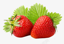 酸甜可口的水果草莓素材