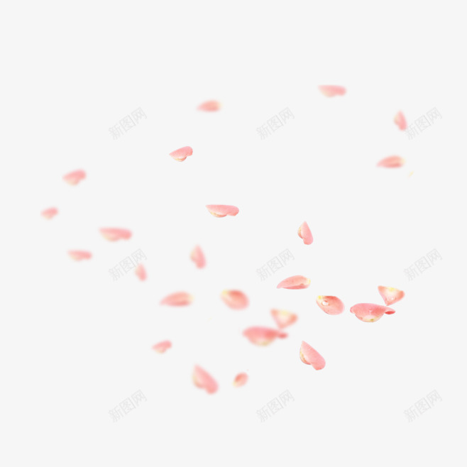 粉色花瓣装饰png免抠素材_新图网 https://ixintu.com 化妆品 粉色 花瓣 装饰