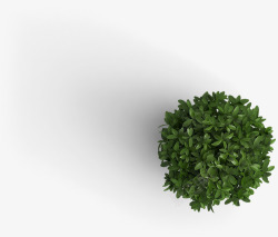 绿色氧气合成创意合成绿色的植物盆栽效果高清图片