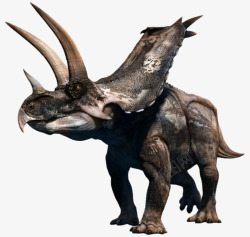 恐龙灭绝阿古哈角龙属灭绝生物实物高清图片