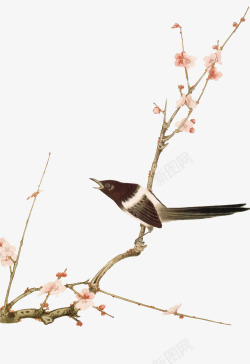 复古树枝中国风花鸟装饰高清图片
