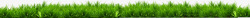 绿色春季树叶组合圆形黄绿色春季植物树叶草丛高清图片