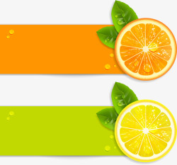 柠檬切片和冰块新鲜的柠檬橘子水果矢量图高清图片
