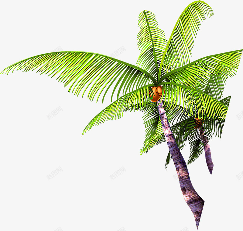 卡通沙滩海边椰子树png免抠素材_新图网 https://ixintu.com 卡通 椰子树 沙滩 海边