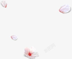 粉色花瓣简单边框素材