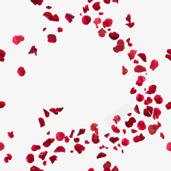 婚礼红披肩浪漫玫瑰花瓣撒花高清图片