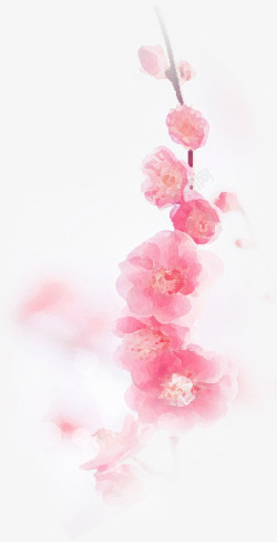 彩绘的桃花彩绘桃花透明桃花高清图片