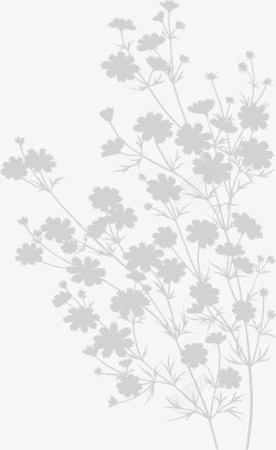 棉花花朵简笔画线描花卉植物剪影图案矢量图高清图片