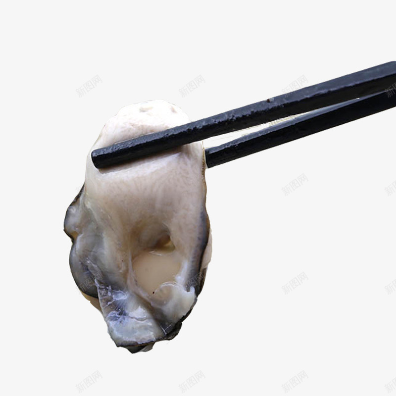 海蛎美食png免抠素材_新图网 https://ixintu.com 海产品 海蛎 海鲜 特产 生蚝 美食 进口水产