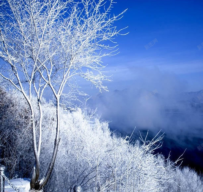 冬季雪景个人主页png免抠素材_新图网 https://ixintu.com 个人 主页 冬季 雪景