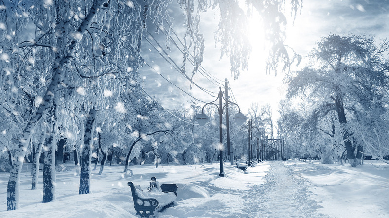 创意摄影合成冬天的森林树木海报png免抠素材_新图网 https://ixintu.com 冬天 创意 合成 摄影 树木 森林 海报