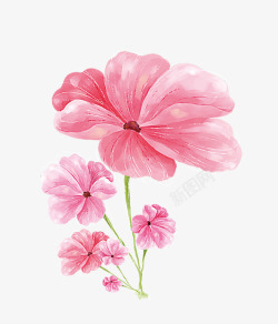 漂亮的花卉漂亮的水彩花卉高清图片