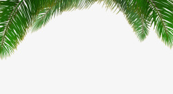 沙滩风情的棕树背景高清图片