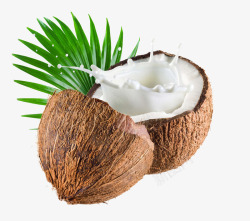 椰果椰子椰子汁水果高清图片