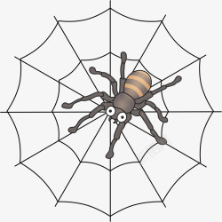 彩色蜘蛛饰品蜘蛛蛛网动物卡通高清图片
