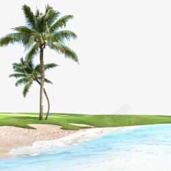 蓝色树干海水和椰子树高清图片