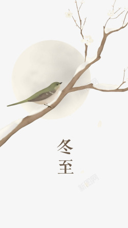 二十四节气之立冬树枝上的小鸟高清图片