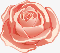 绿色植物装饰花边玫瑰粉色玫瑰高清图片