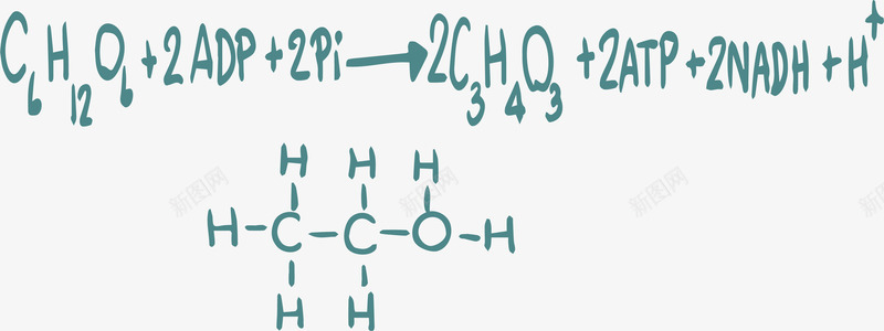 化学反应方程式png免抠素材_新图网 https://ixintu.com 化学公式 化学反应 化学方程式 化学方程式计算 方程式