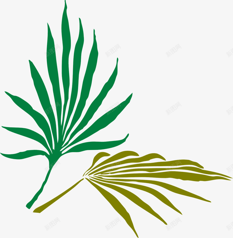 棕榈树叶片png免抠素材_新图网 https://ixintu.com 叶片 扇子 棕榈树 绿色