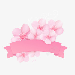 樱花图片素材下载粉色樱花和丝带高清图片