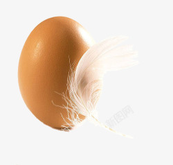 两半熟鸡蛋羽毛高清图片