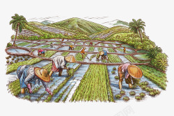 农民水彩农地种植水稻插秧图画高清图片