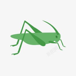 渺小绿色跳跃蚂蚱图标矢量图高清图片