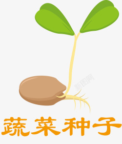 盆栽蔬菜水墨种子发芽种子水稻高清图片