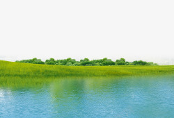 清澈的水流大自然绿色河流高清图片