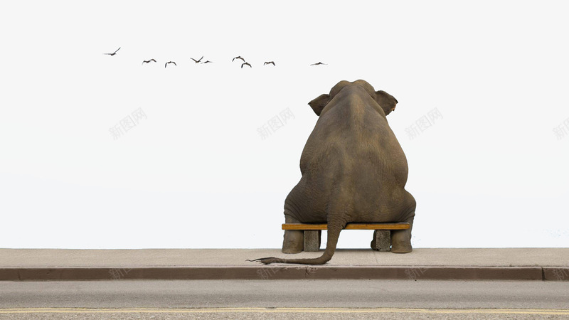 孤独的大象png免抠素材_新图网 https://ixintu.com 创意海报 坐着的大象 大象 大象看风景