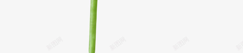 紫色有观赏性盛开的一朵大花实物png免抠素材_新图网 https://ixintu.com 一朵大花 开苞 植物界 种类 聚合 花冠 花卉 花梗 花萼 草本植物