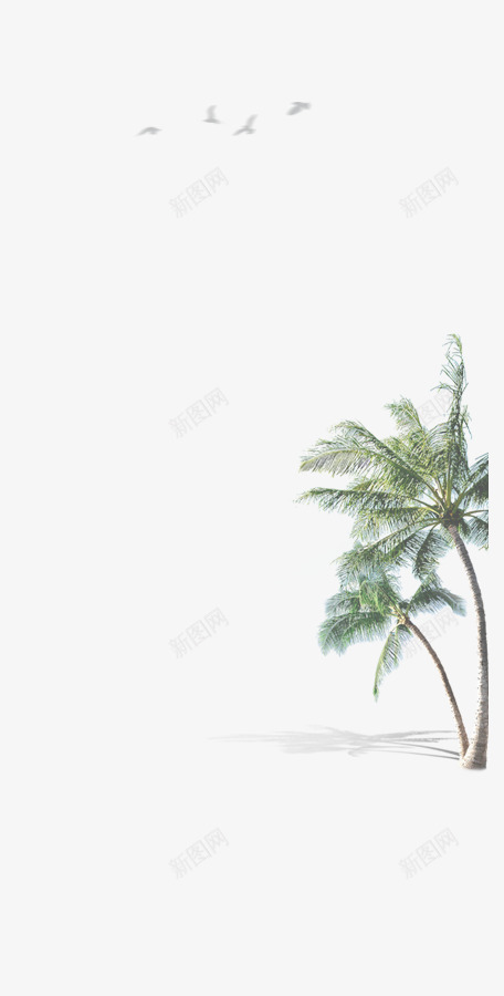 海边风情png免抠素材_新图网 https://ixintu.com 植物 椰树 海边风情 飞鸟