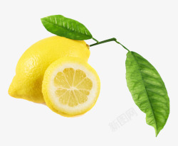 新鲜黄柠檬微距特写素材