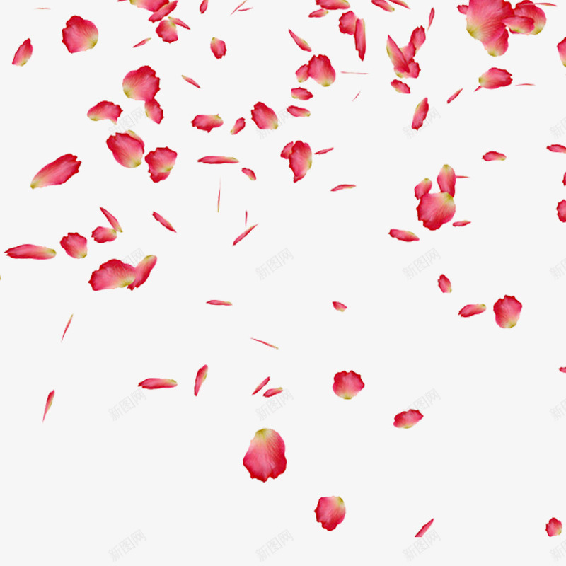 飘飘扬扬的粉红色花瓣雨psd免抠素材_新图网 https://ixintu.com 粉红色 花瓣 飘洒 飘落