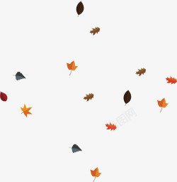 飘散的落叶时尚飘落的彩色落叶高清图片