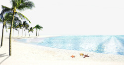 白色椰子树阳光沙滩高清图片
