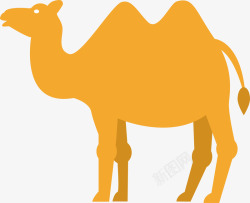 沙漠里的骆驼素材