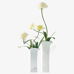 绿化花朵白色花瓶高清图片