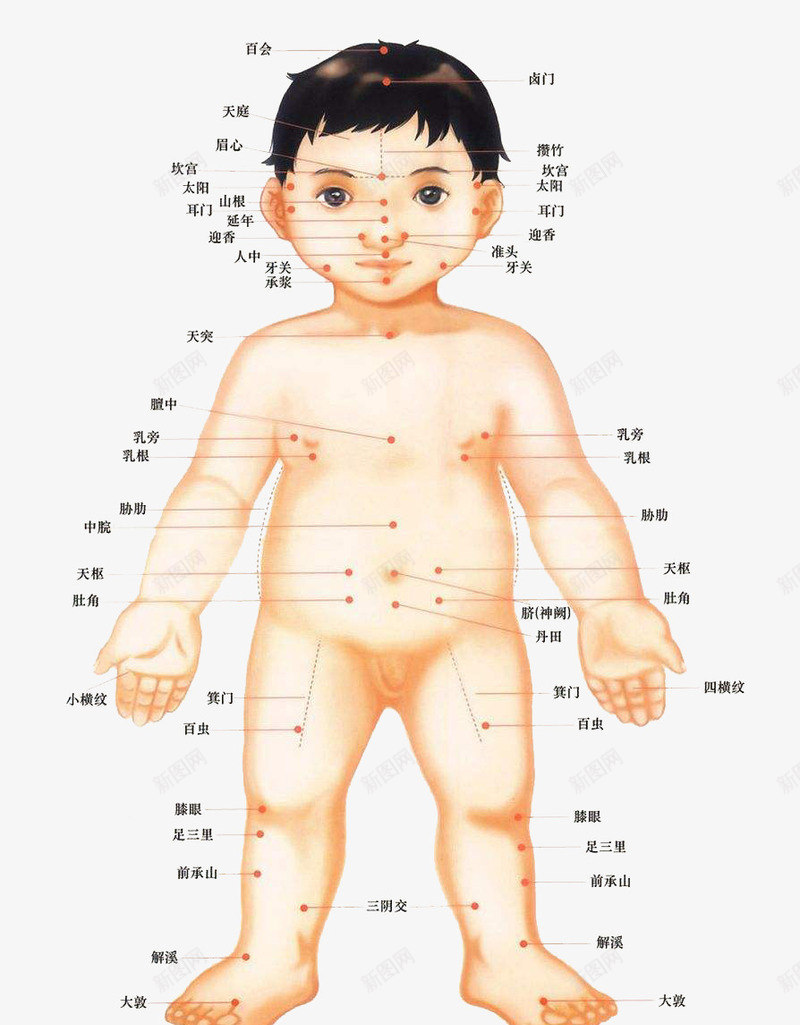 儿童穴位全身图png免抠素材_新图网 https://ixintu.com 全身 卡通 穴位