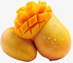 新鲜的芒果新鲜采摘芒果水果高清图片