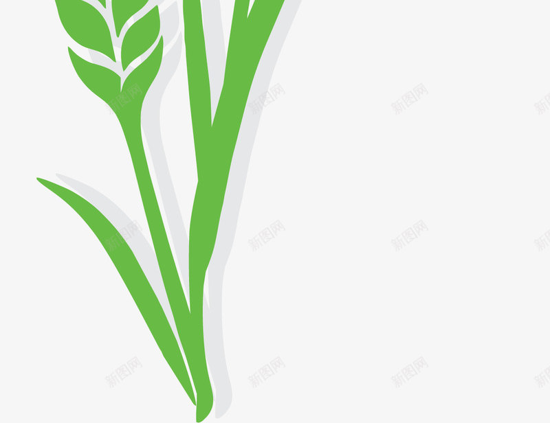 绿色为成熟的稻谷png免抠素材_新图网 https://ixintu.com 农田 卡通 大米 小米穗 水稻 稻田 稻谷 米穗 绿色 麦子 麦穗